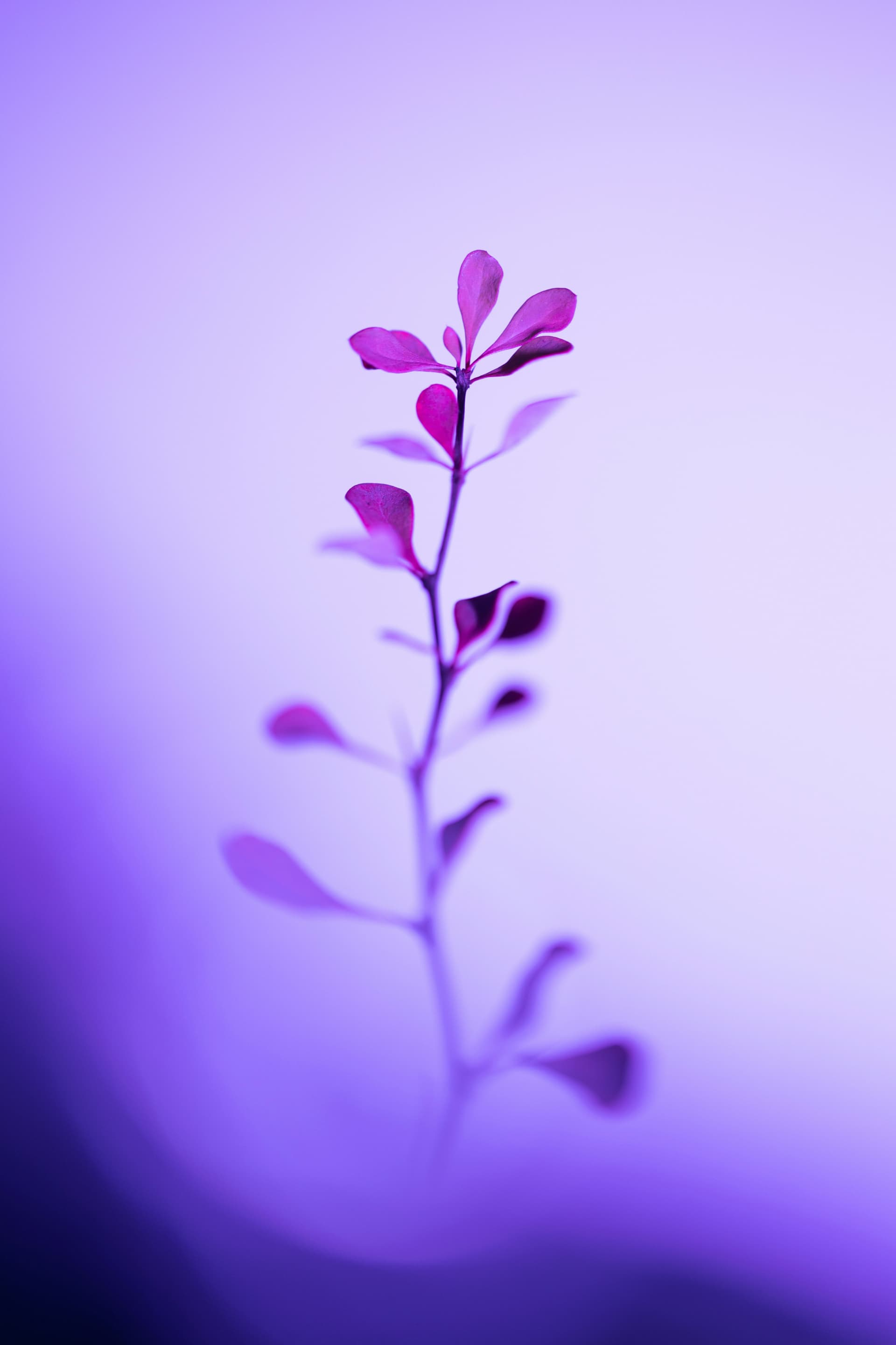 Introduction to the psychological guides